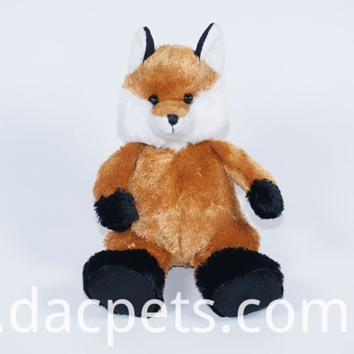 roter Fuchs red fox